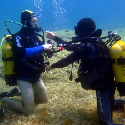 Open Water Diver