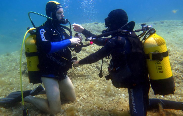 Open Water Diver