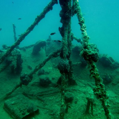 Montenegro. Wreck diving