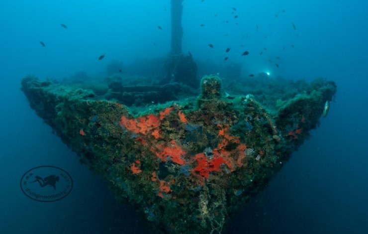 Wreck Patrol Ship PBR 512
