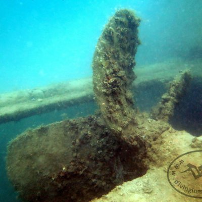 Diving on wrecks. Montenegro