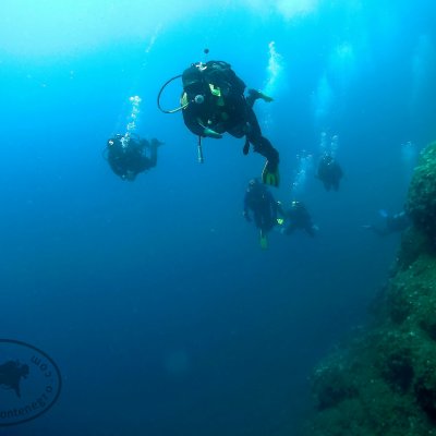 Diving for groups in Montenegro