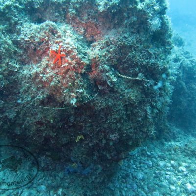 Interesting places for diving in Montenegro