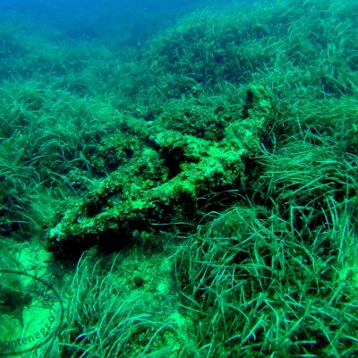 Wreck diving in Montenegro. Wreck Galija
