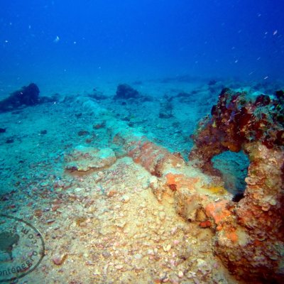 Diving on the wreck Galija