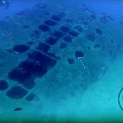 Wreck Golesnica. Montenegro. Diving