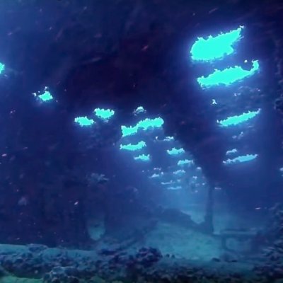Diving in Montenegro. Wreck Golesnica