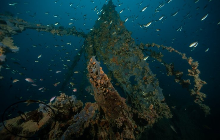 Wreck Higgins
