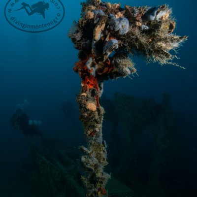 Wreck Higgins. Diving in Montenegro