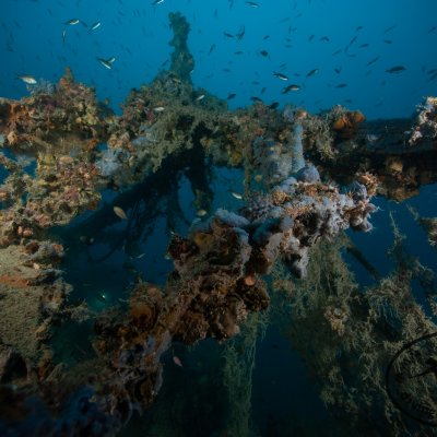 Wrecks in Montenegro. Higgins