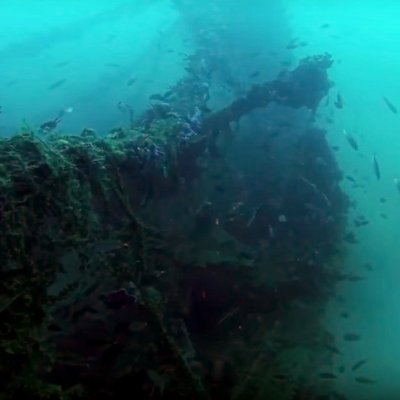 Montenegro. Wreck dive on Higgins