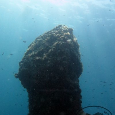 Introductory dive for beginners