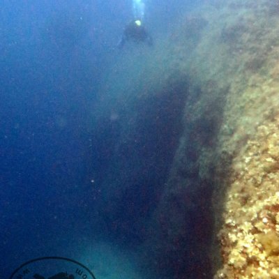 Daily diving. Montenegro