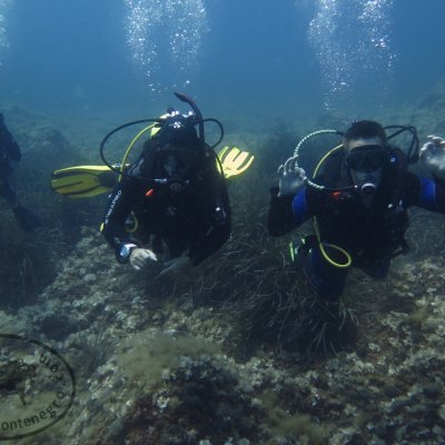 Diving courses. Diving School. Montenegro