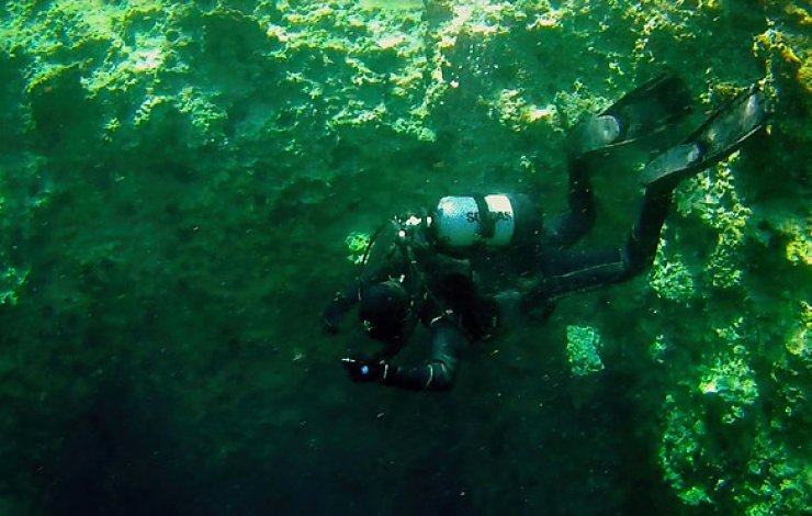 Mermaid Hall