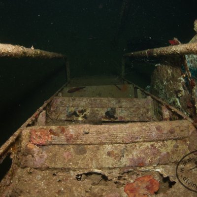 Wreck diving in Montenegro