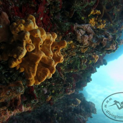 The underwater cave Poseidon City. Montenegro