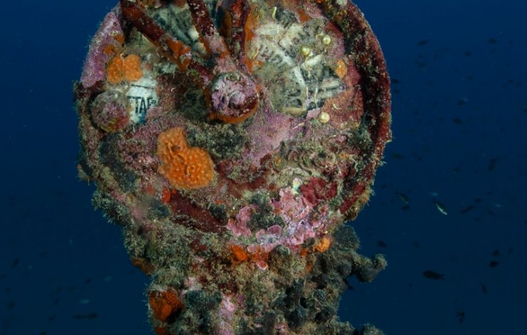 Wreck Tihany