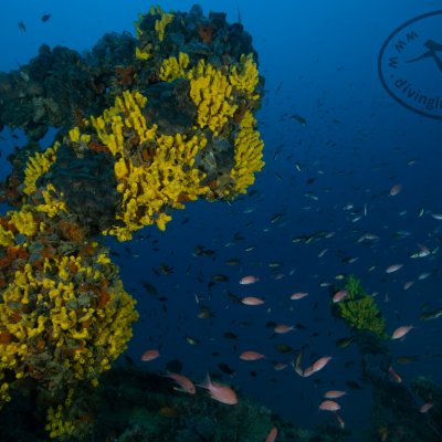 Wrecks in Montenegro. Diving