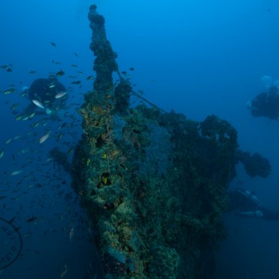 Diving on Tihany. Montenegro
