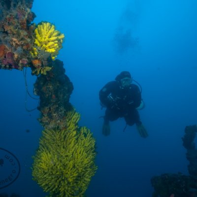 Wrecks - Tihany