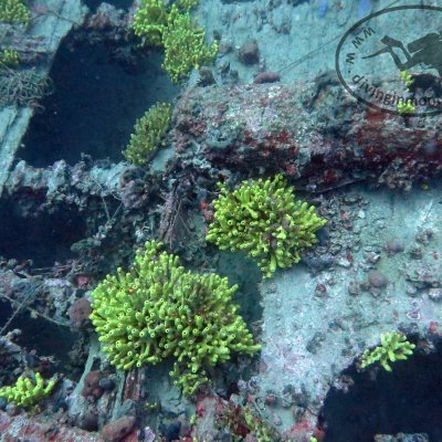 Wreck in Montenegro. Tihany. Diving on wreck