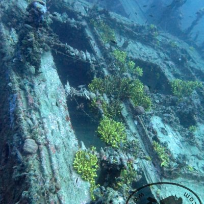 Wreck Tihany. The Adriatic sea