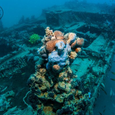 Wrecks in Montenegro